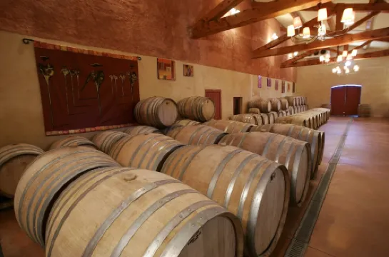 In the middle of the vineyard in the castel 聖吉爾酒店