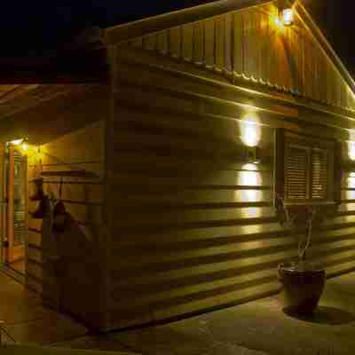Artful, Rustic Backyard Cabin-Sustainable Ethic, Downtown 20 Min, 5-Star Shower Hotel Exterior