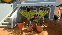Holiday flat for 4 persons with a large terracce wit ocean view Hotels in Massarosa