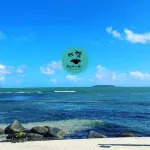 Bayshore Apt.|2PPL| Beach| Balcony| Top Location