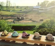28 North Extended Stay Suites!! pickleball, hot tubs and game room + pool tables