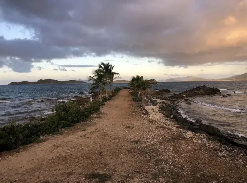 Premium Oceanfront Sapphire Beach Resort & Marina