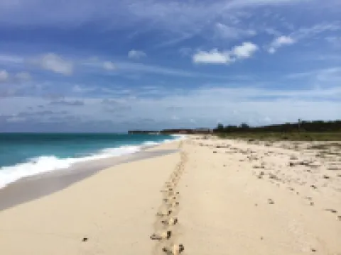 Beautiful, Spacious 3 Story, Waterfront Condo Bimini, Bahamas - Sleeps 10 のホテル
