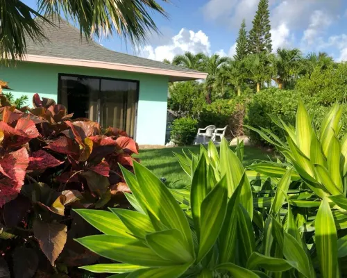 VILLA LUIS, TREASURE CAY PARADISE, FULLY SANITIZED Hotels in Great Abaco