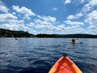 A cozy Adirondack cabin with mountain and lake views! - Alphydda