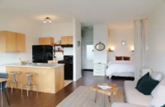 Goodview Suite - licensed waterfront studio with a fireplace and patio