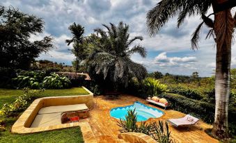 Pink Flamingo Boutique Hotel