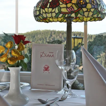 Hotel Diana