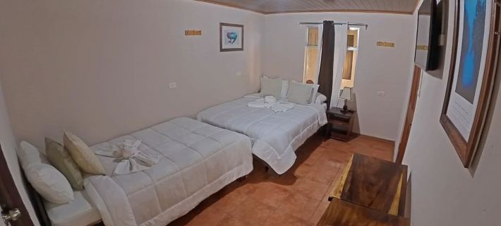 Casa Jungle Monteverde B&B Hotels in Monteverde