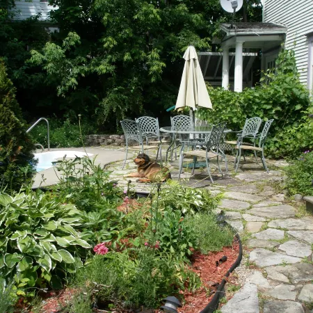 Ô Bois Dormant B&B