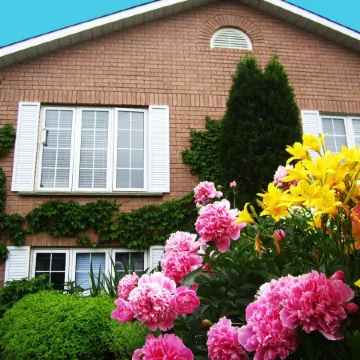 Opus 74 Bed & Breakfast