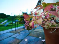 West Lodge Hotels in Rockbourne