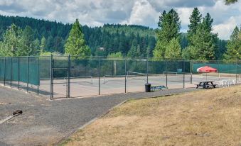 New Meadows Mountain Retreat w/ Fireplace & Patio!