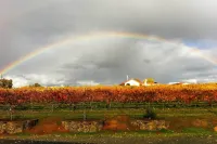 Working Vineyard & Private Pool: Villa in Plymouth - spa