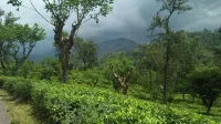 Ella Camping Resort - Pet-friendly
