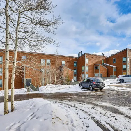 Ski, Shred and Tube Mtn-View Condo in Silverthrone!