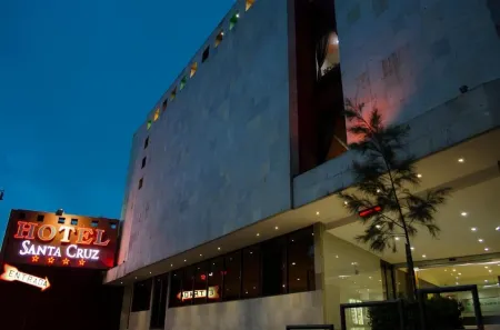 Hotel Santa Cruz Отели в г. Тлалнепантла