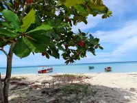 Drifters at One Mile - Hostel