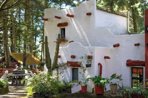 Los Naranjos Town Houses - Homestays