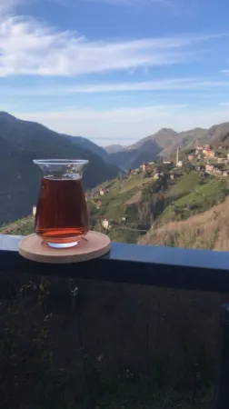 Poyraz bungalov Отели в г. Hosdere Koyu