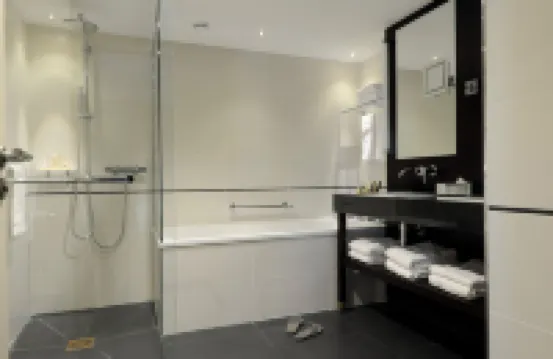 蒙彼利埃麗笙藍標飯店