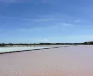 Combate Blue Village