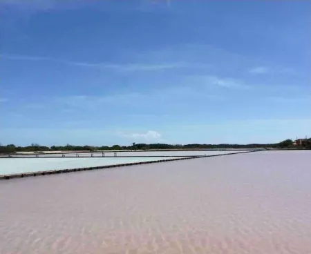 Combate Blue Village