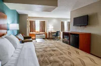 Quality Inn & Suites I-81 Exit 7 - parking