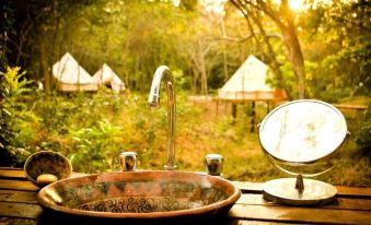 Dreamsea Surf Camp