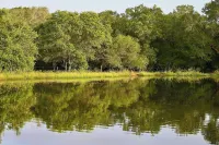 Family-Friendly Ranch Compound, 5 Mi to Splashway!