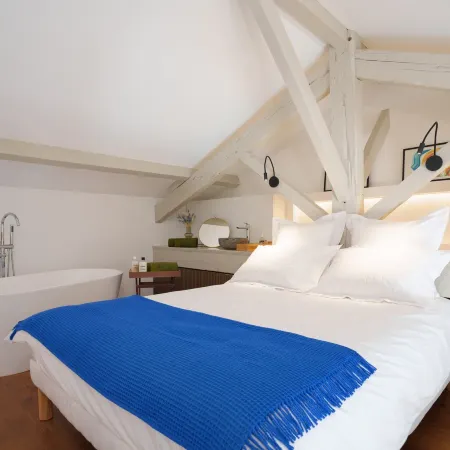 320 Le Loft Palatin in Cannes