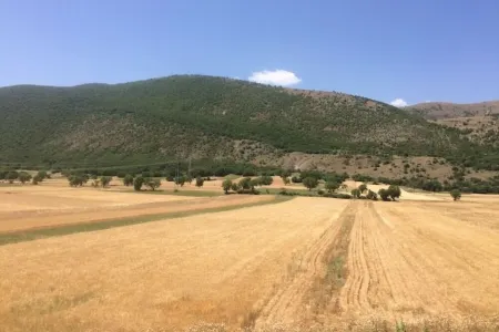 The red poppy Отели рядом с достопримечательностью «Rocca Calascio»