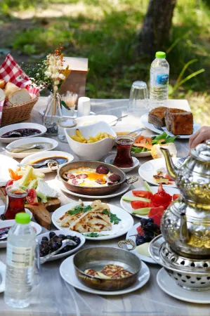 ÇAMPINARI DOĞA EVLERİ & Restaurant Отели в г. Kuzgol Koyu