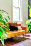 Jungle Thyme Hotels in Chillicothe