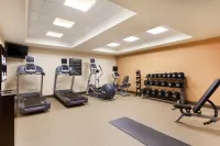 Homewood Suites by Hilton Reading - Gym