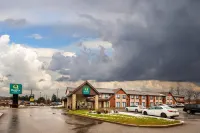 كواليتي إن فنادق في باري