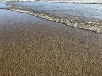 LUXURY VILLA NEAR ROMA Hotels in Ardea