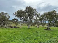 Snowy Mountains Hideaway with plenty of space to relax after a day of adventure.