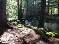 Spacious and bright mountain house near Hunter and Windham