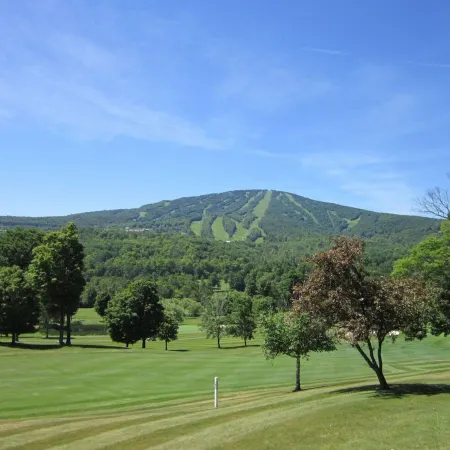 Charming 2-bedroom Stratton Mountain Condo with shuttle service