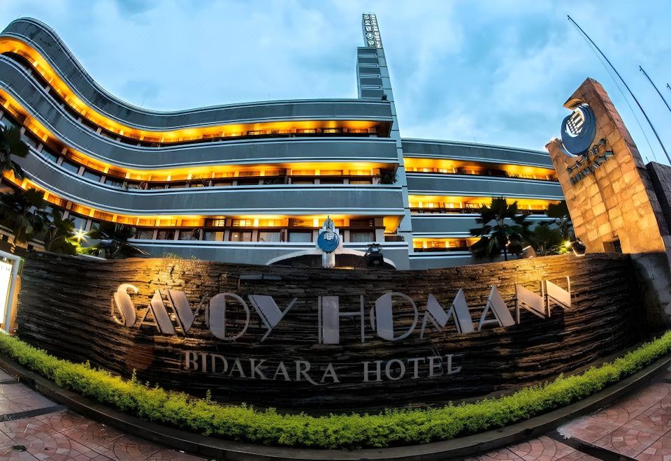 Savoy Homann Over view