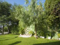 Villa in Blanes with Pool and Sea Views