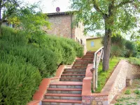Farmhouse in Tuscany with Pool & Wine Tasting