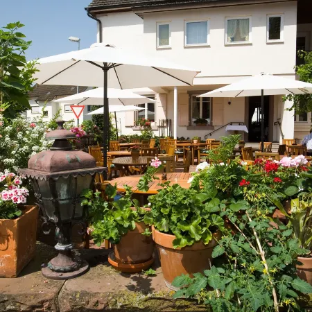 Hotel Hirsch Отели в г. Кель