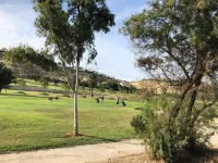 Villa with Garden & Roof Deck
