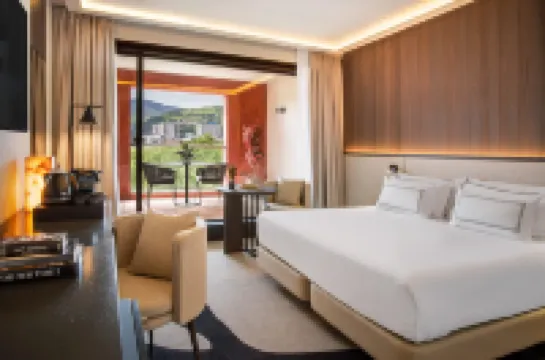 Melia Bilbao Отели в г. 