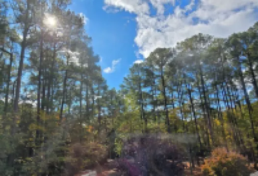 Changes In Latitudes Pool & Apartment Raleigh NC.