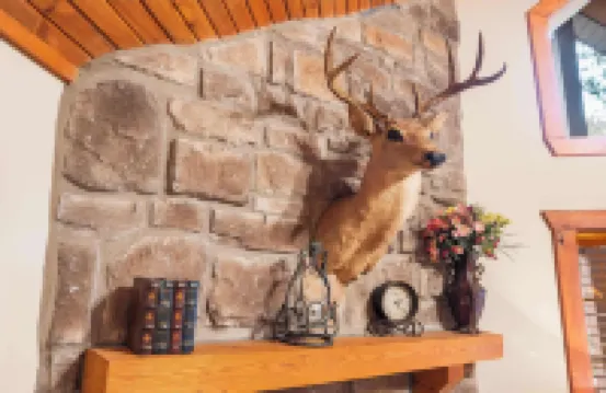 Creekside - 2 Bdr Resort Cabin in Epic Location!