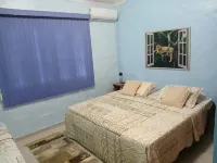 AMAZON HOME AND JUNGLE TRIPS