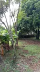 米西奧內拉斯小屋 - 民宿